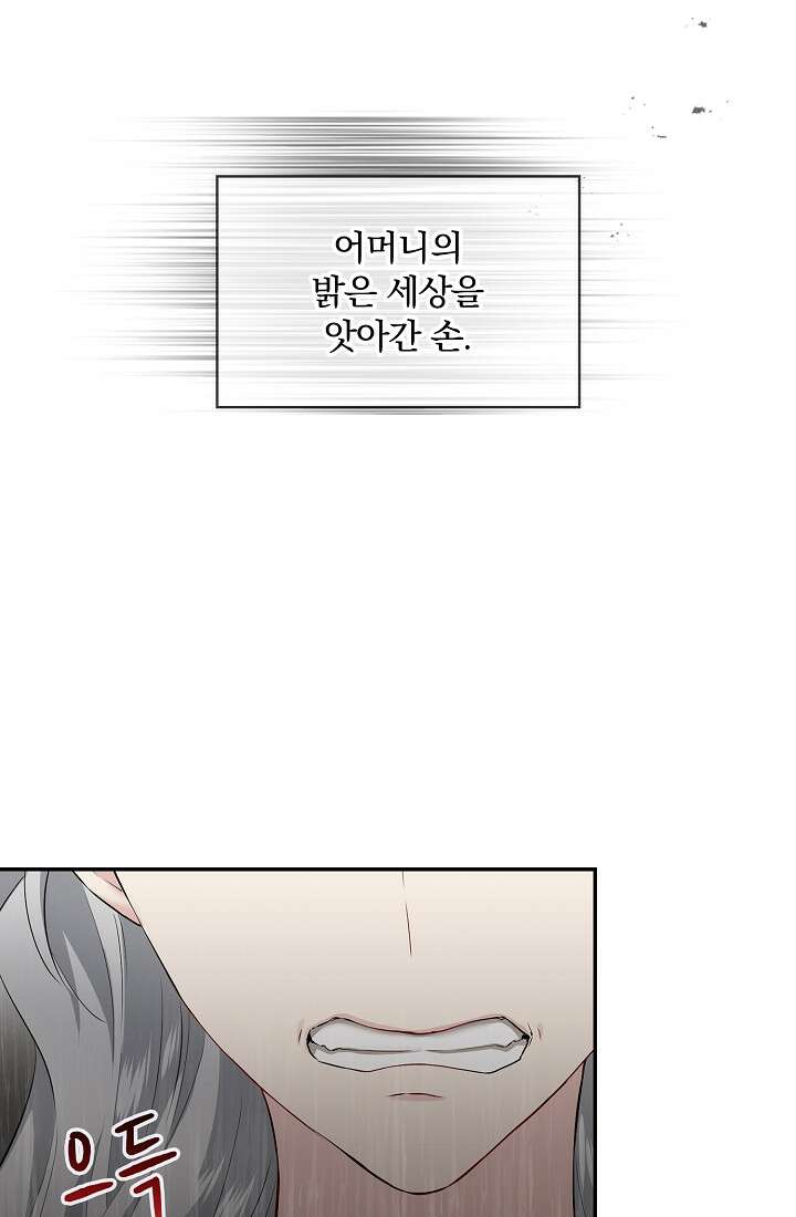 눌리타스 : 절반의 백작 영애 99화 12