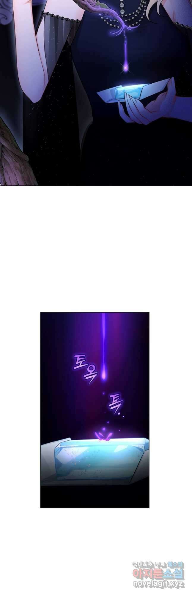 그 대공의 화려한 결혼은 사기 36화 8