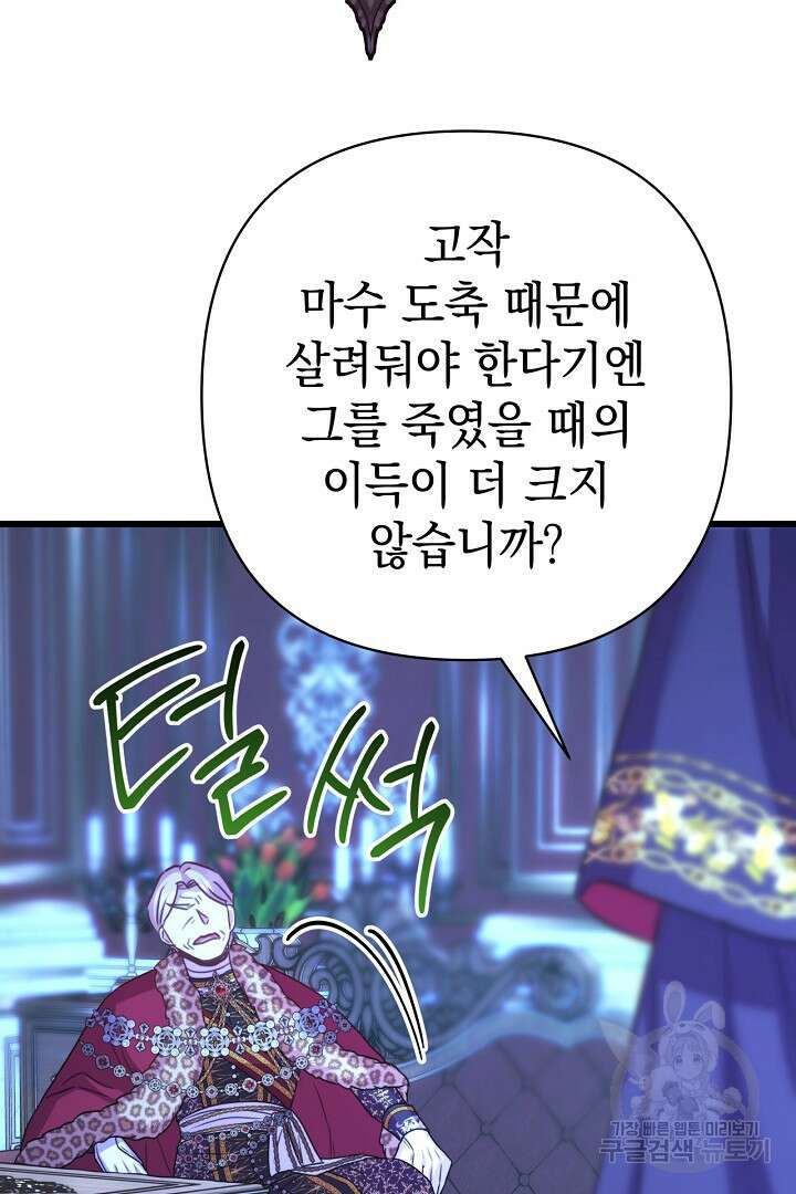 아무튼 로판 맞습니다 81화 71