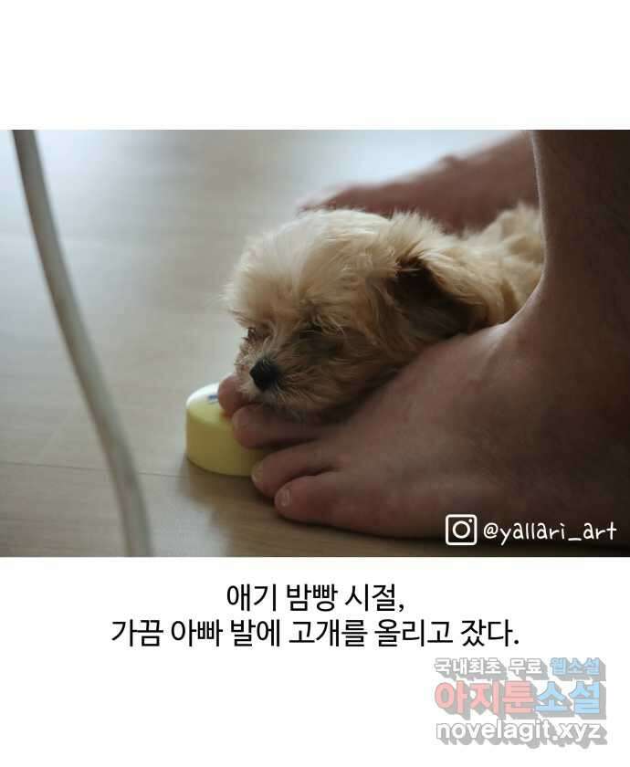 강아지는 멍멍하고 짖지 않아! 20화 - 아빠와 강아지 24