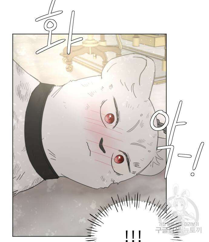 수인보호소에서 남주를 입양해버렸다 7화 31