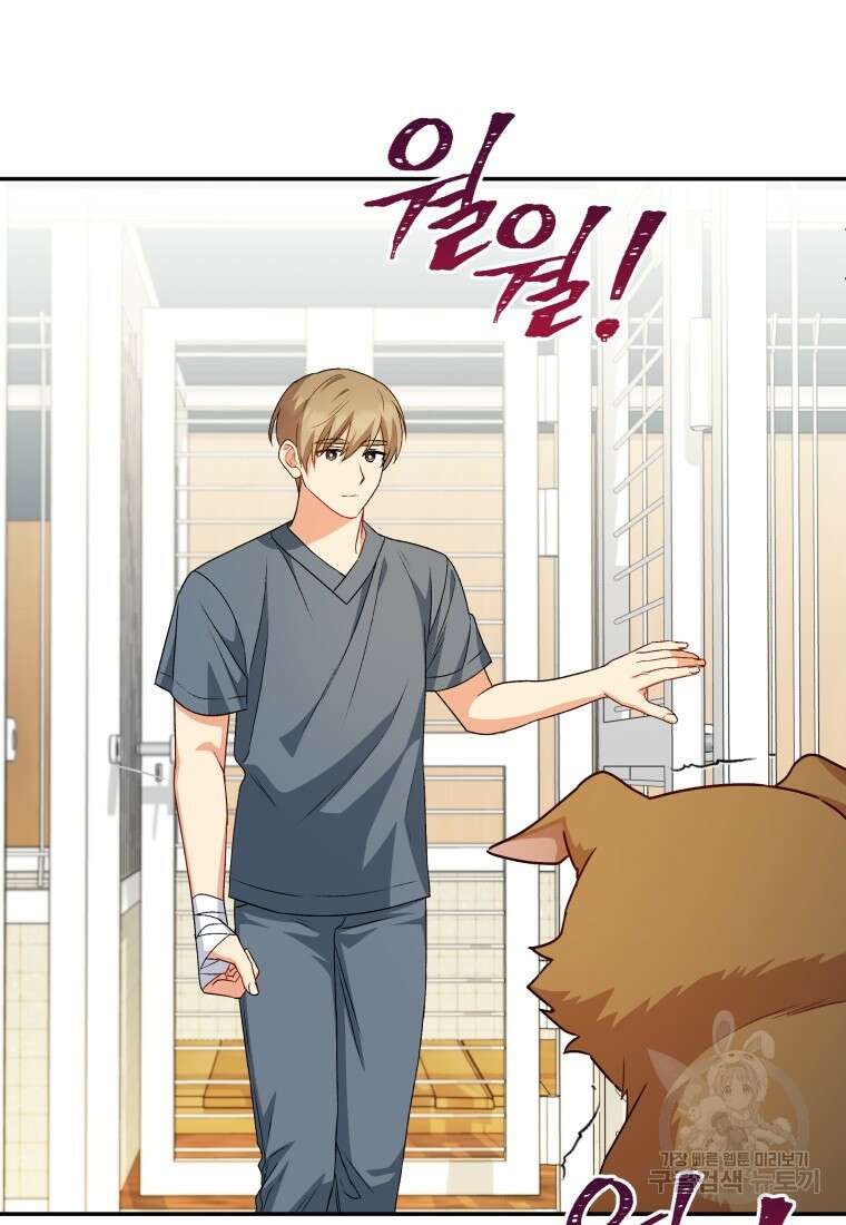 수의사님! 안녕하세요? 19화 4