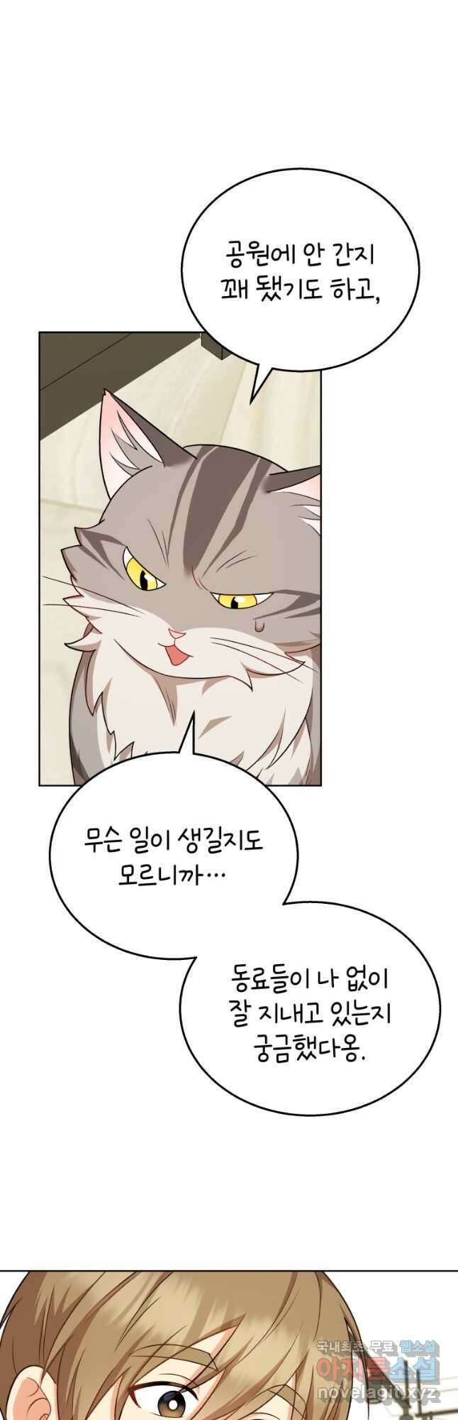 수의사님 안녕하세요 21화 11
