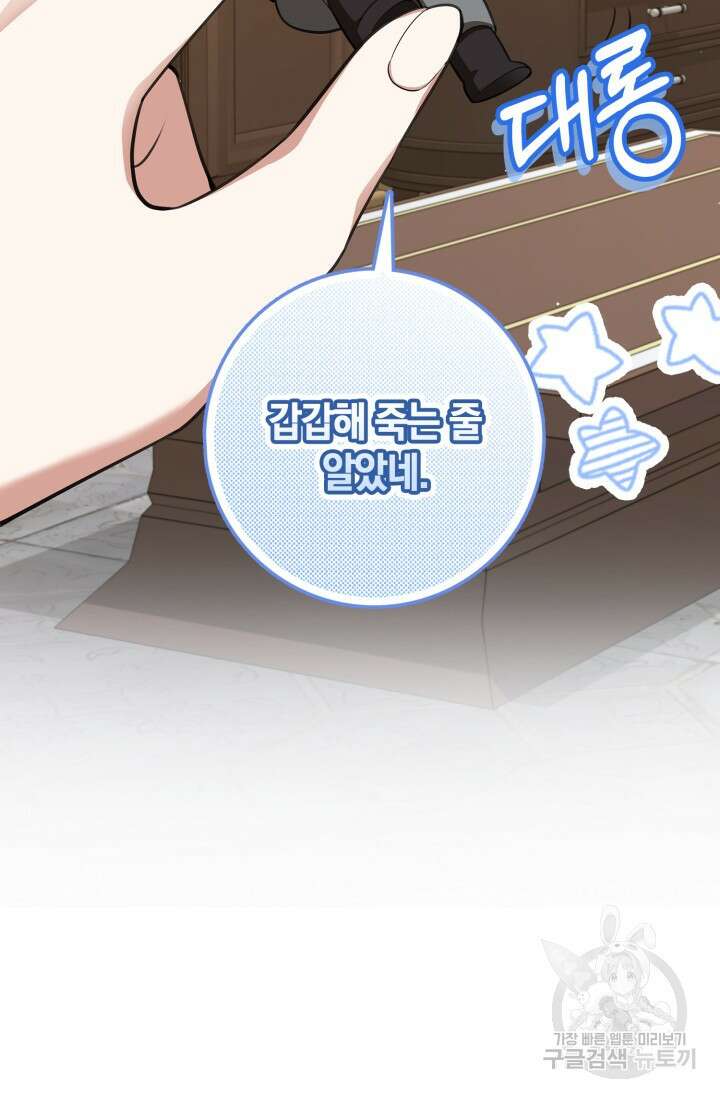 그 던전의 S급 시한부 영애 10화 8