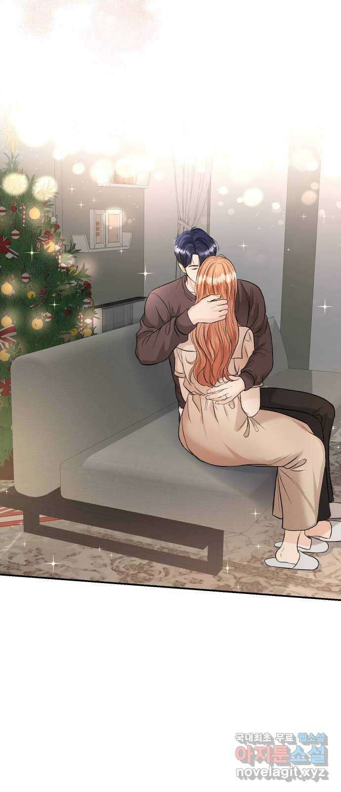 완벽한 결혼의 정석 119화 12