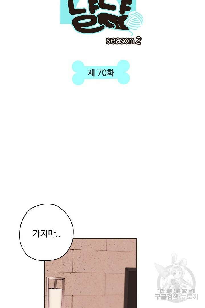 멍멍냥냥 70화 2