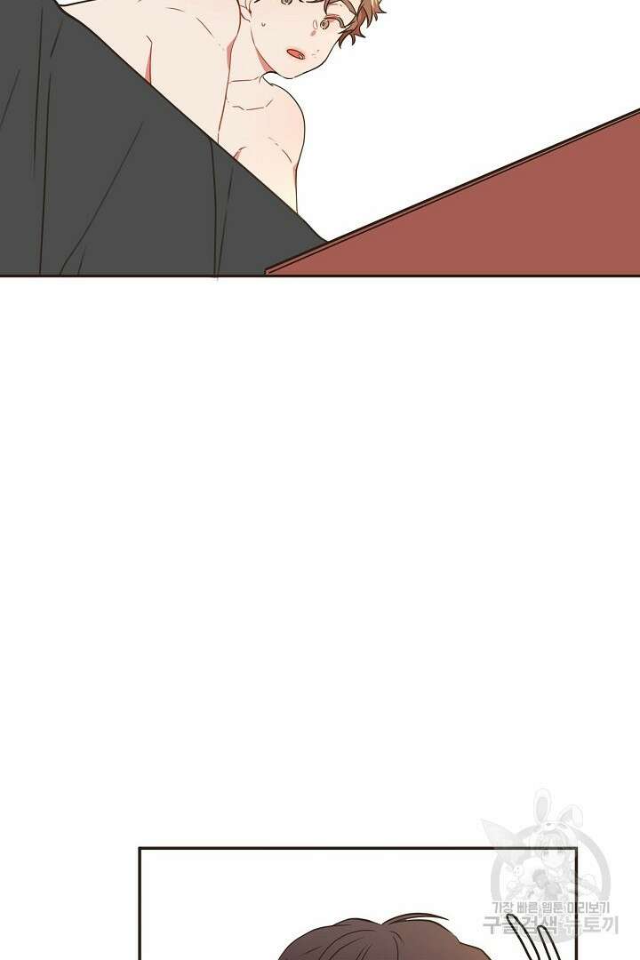 멍멍냥냥 70화 35