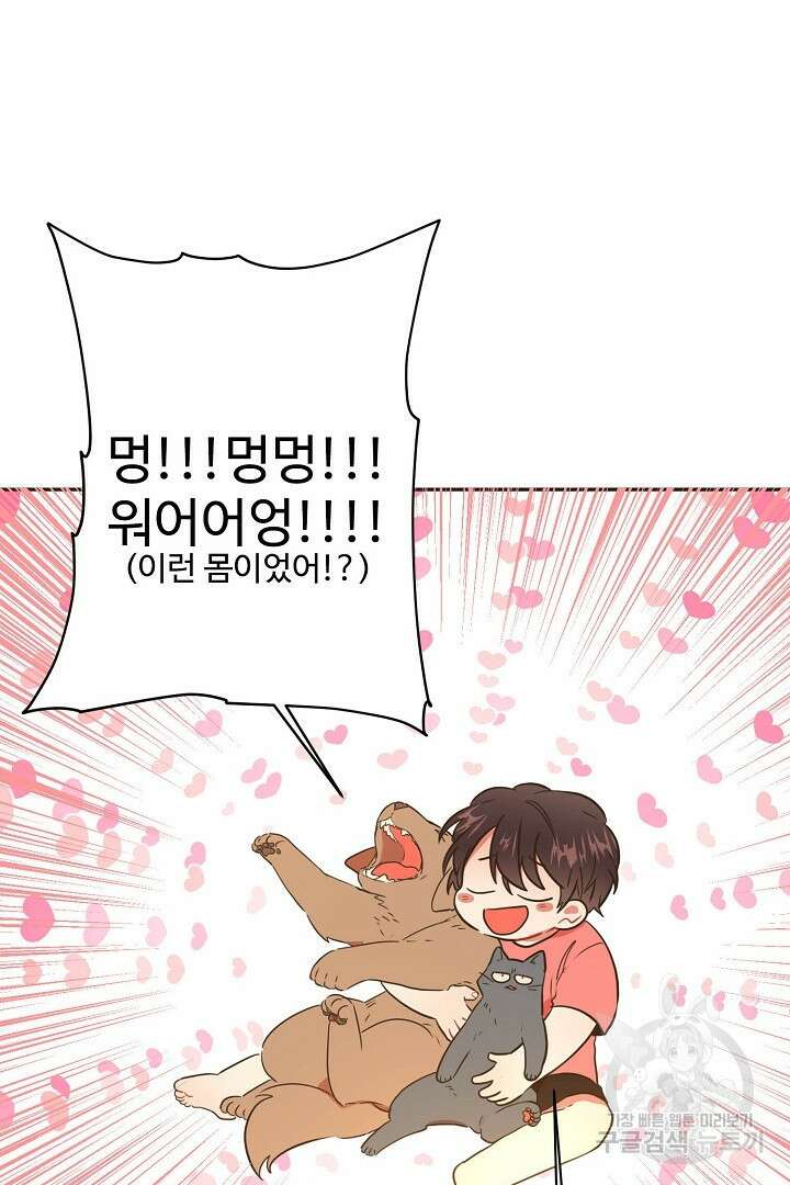 멍멍냥냥 70화 50