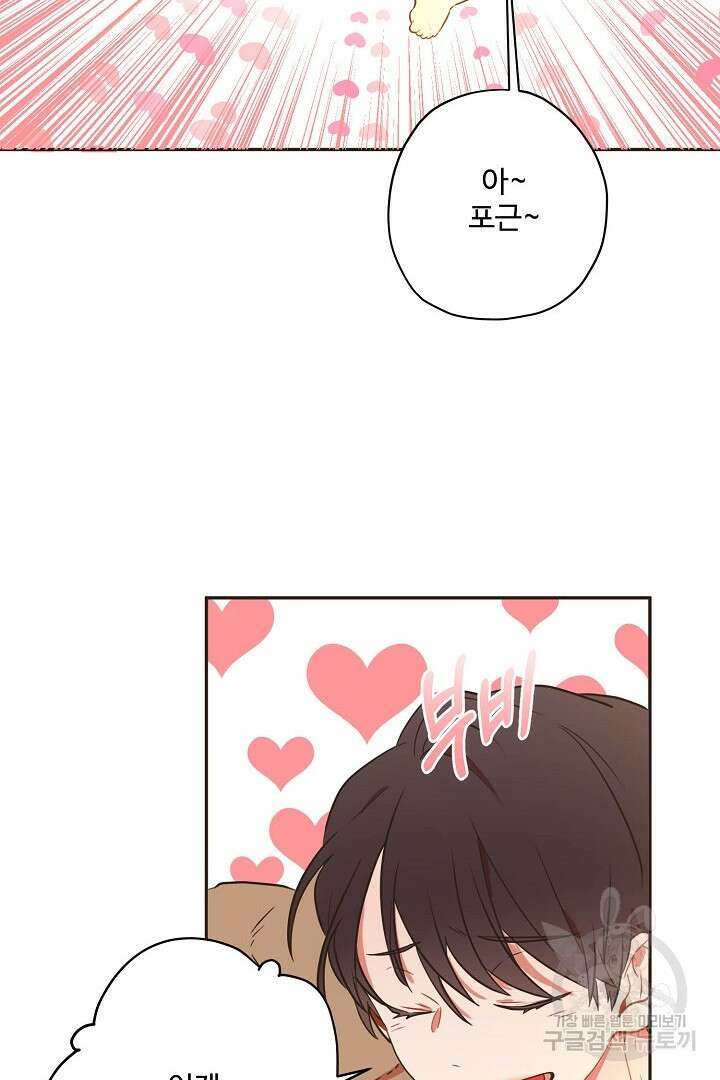 멍멍냥냥 70화 51