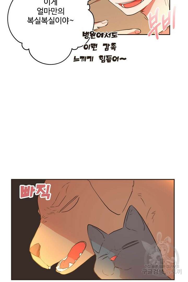 멍멍냥냥 70화 52