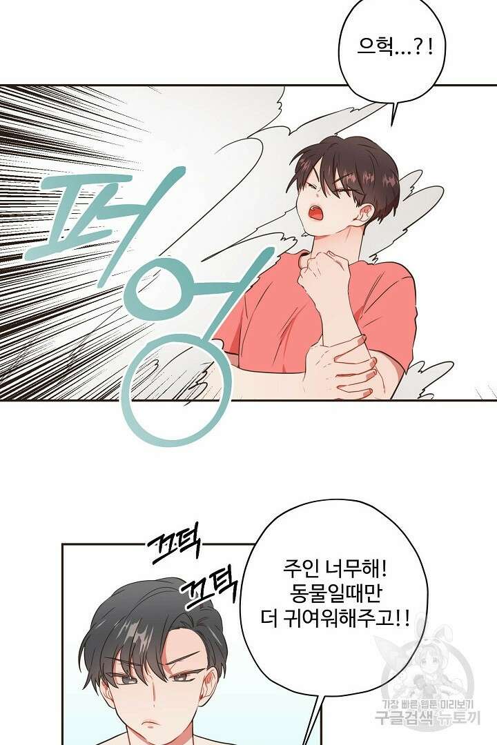 멍멍냥냥 70화 55