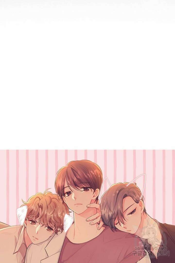 멍멍냥냥 81화 완결 7
