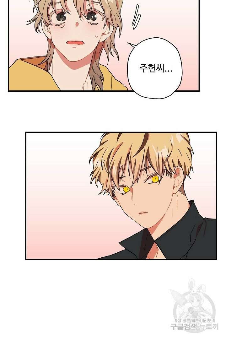 멍멍냥냥 81화 완결 37