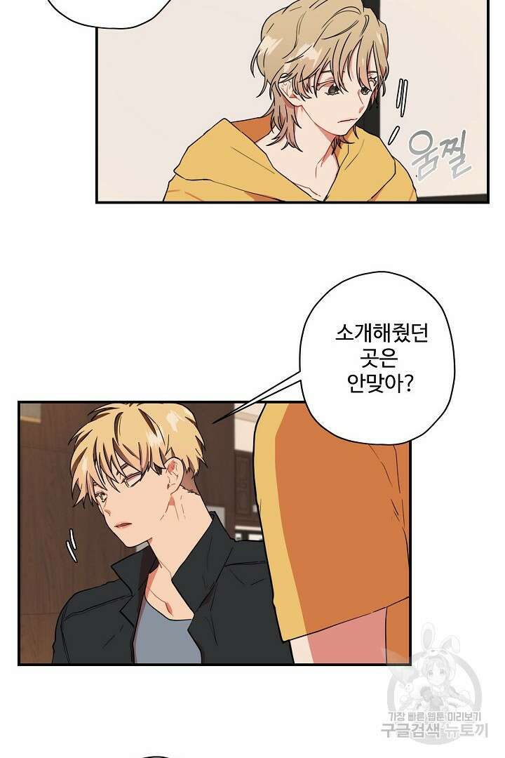 멍멍냥냥 81화 완결 40