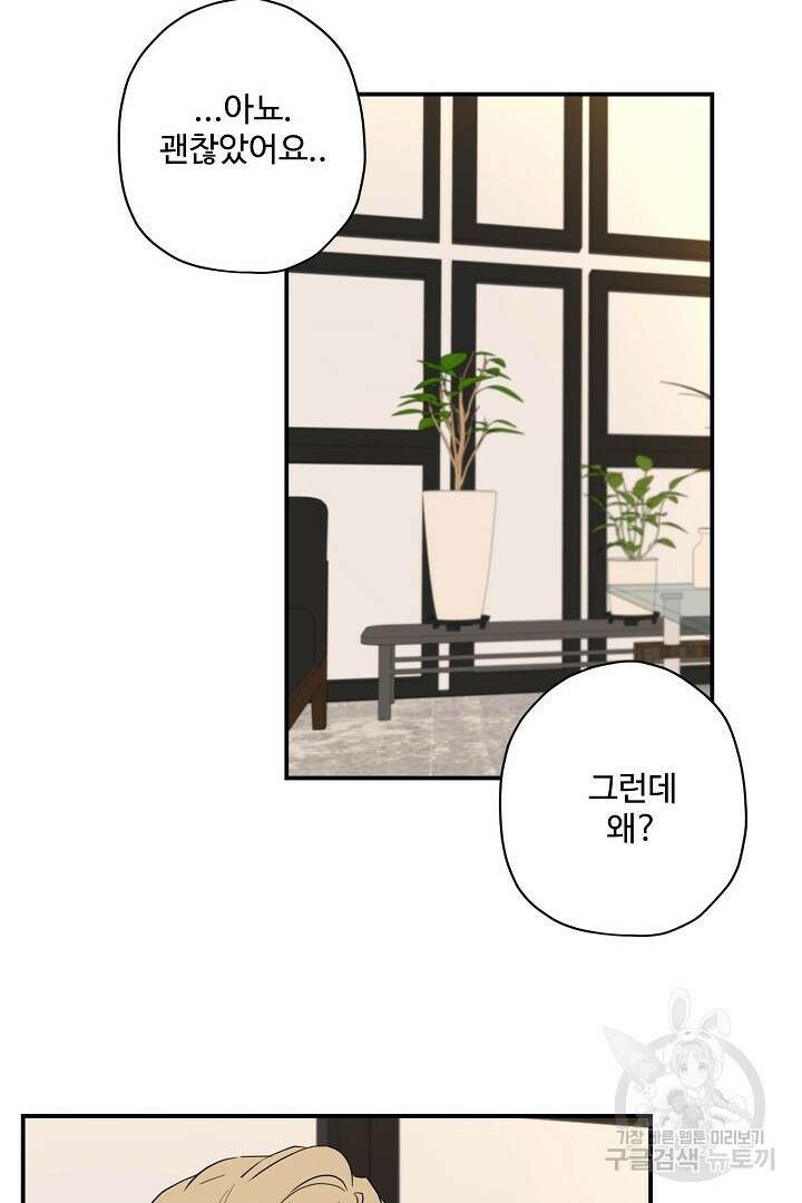 멍멍냥냥 81화 완결 41