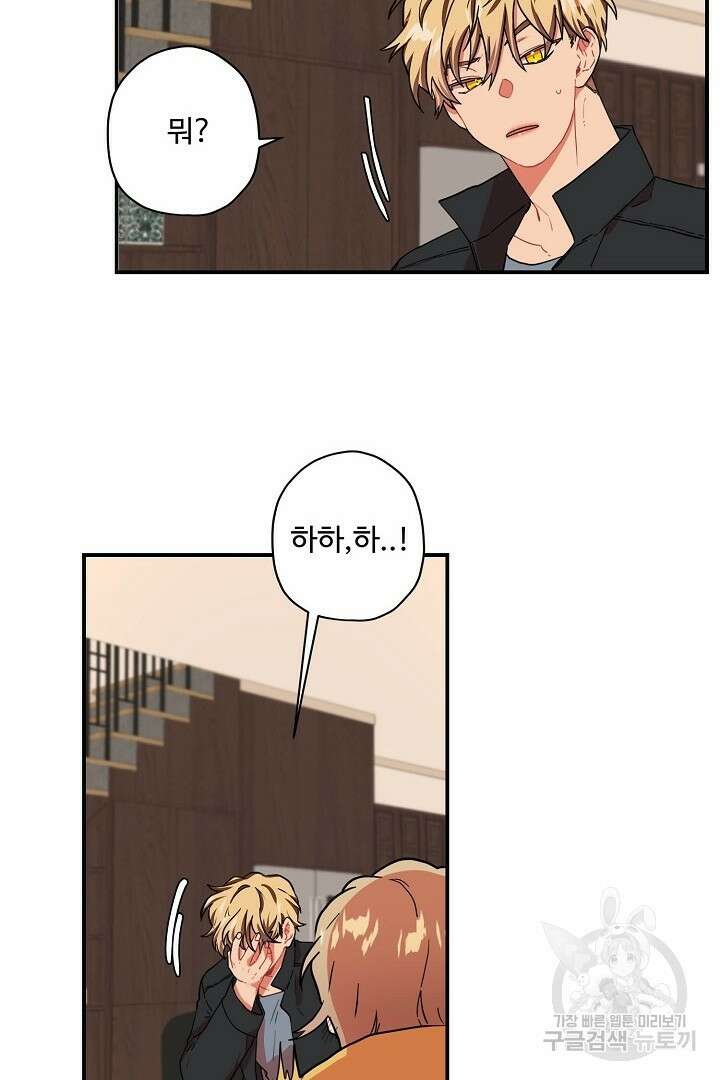 멍멍냥냥 81화 완결 53