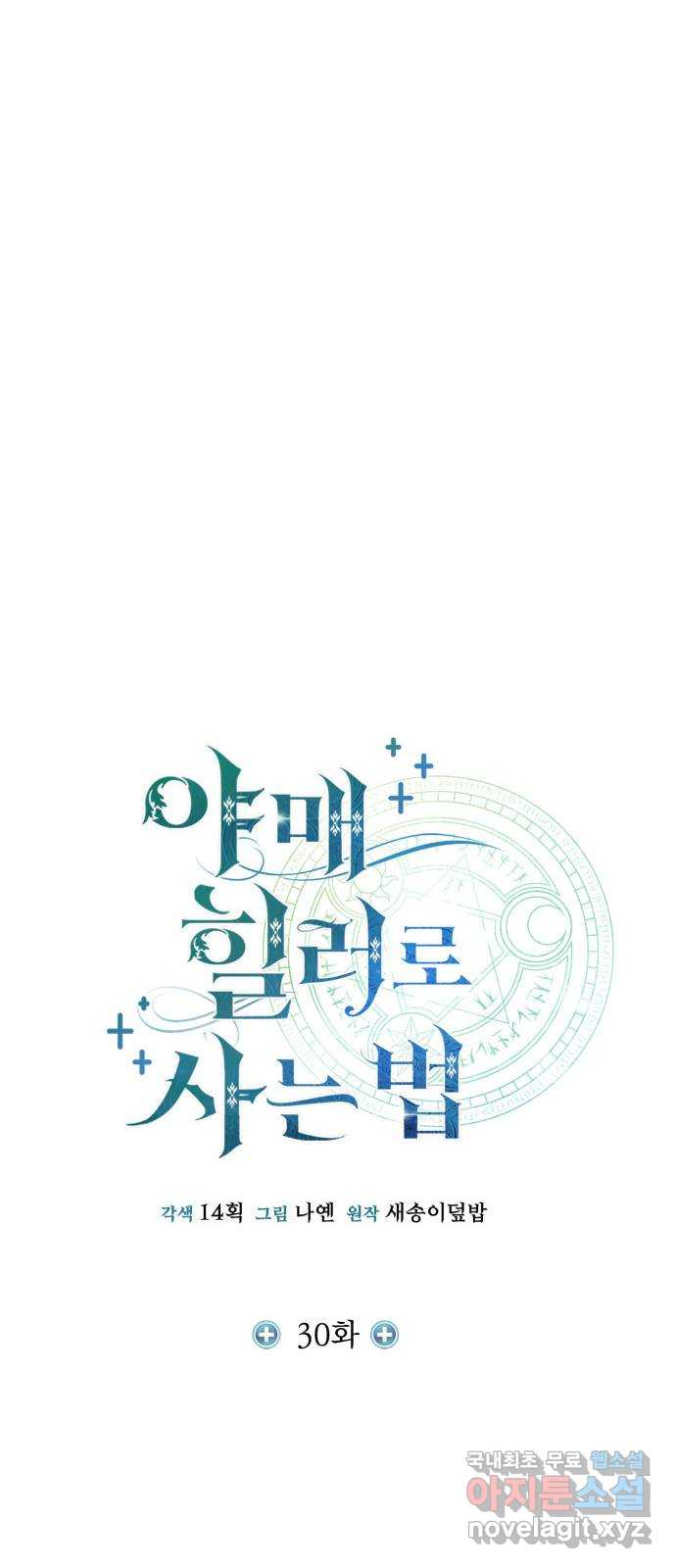 야매 힐러로 사는 법 30화 25