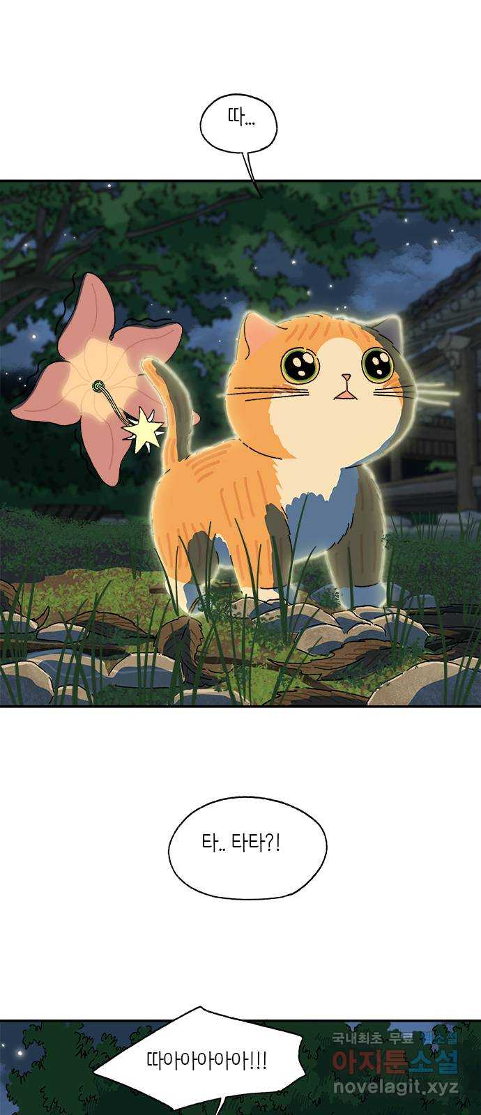 고양이 타타 39화 1