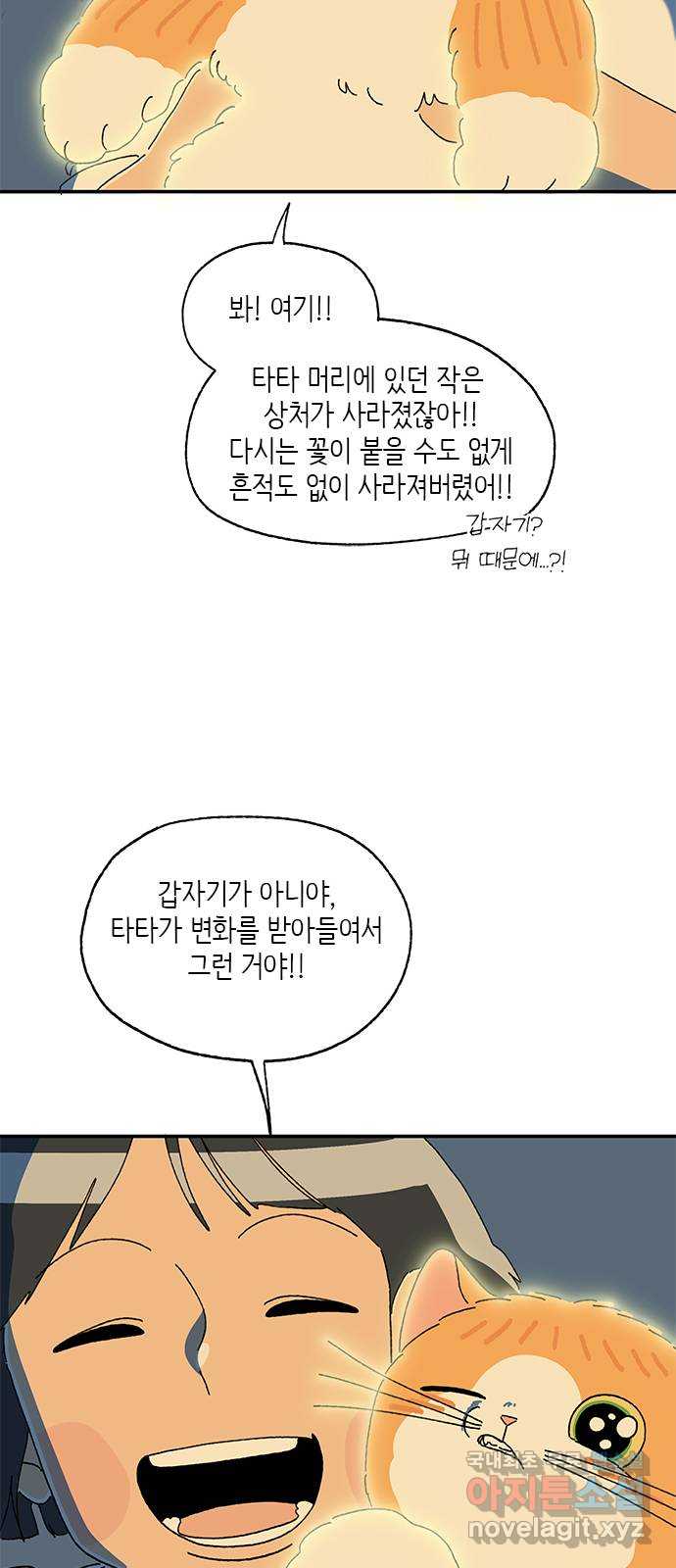고양이 타타 39화 17
