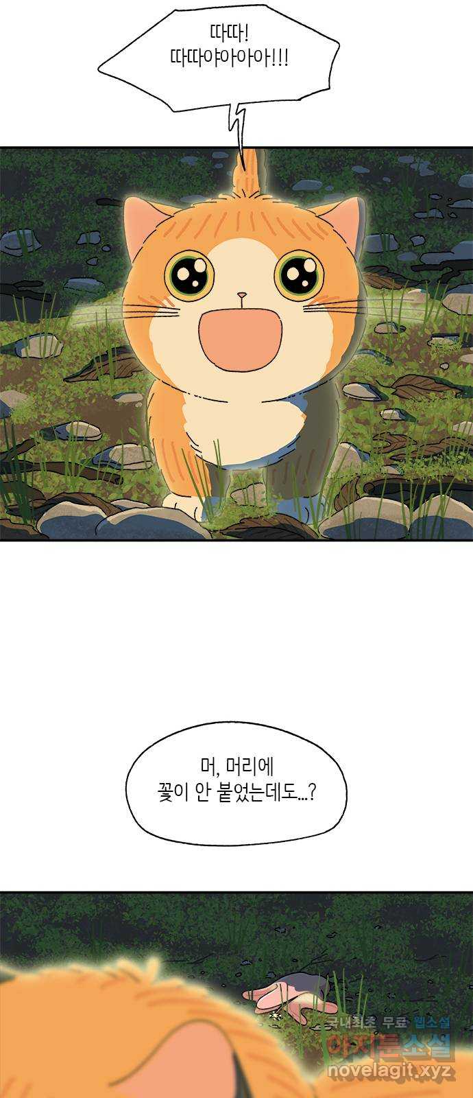 고양이 타타 39화 4