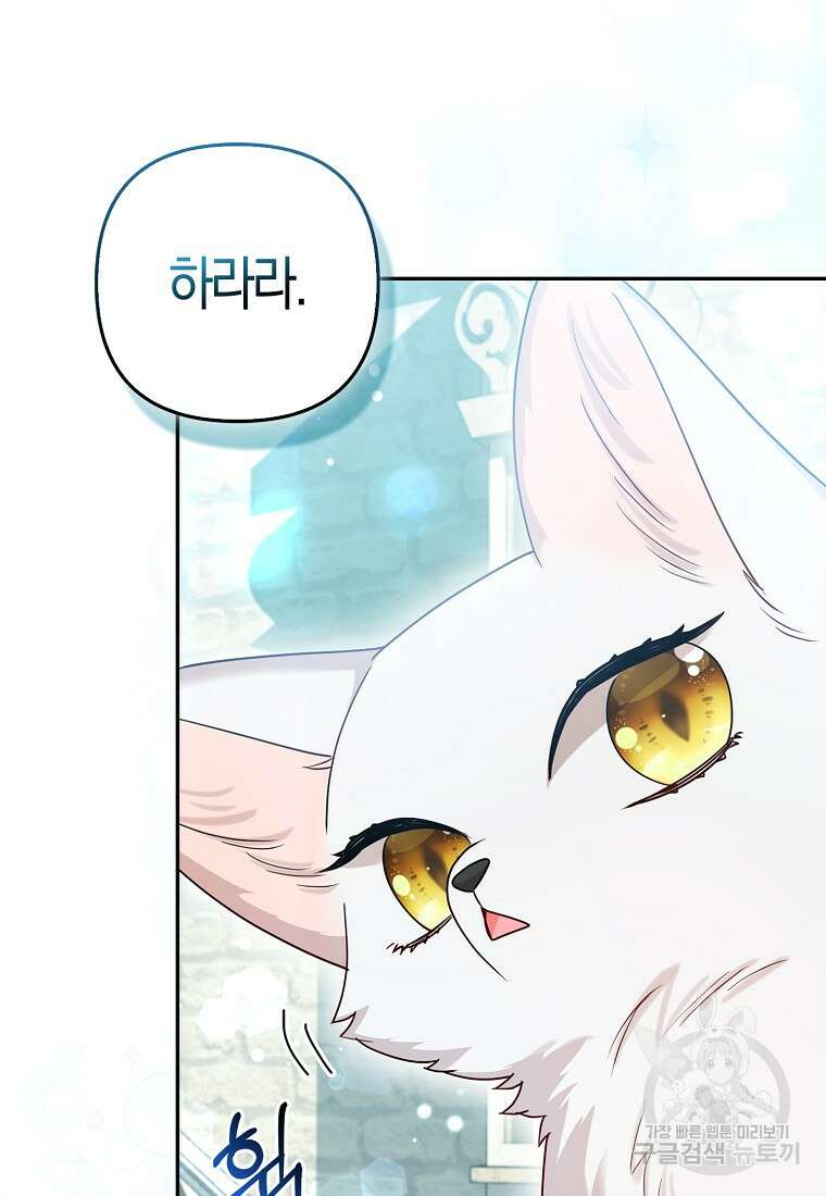 대공가의 여우 황녀님 11화 75