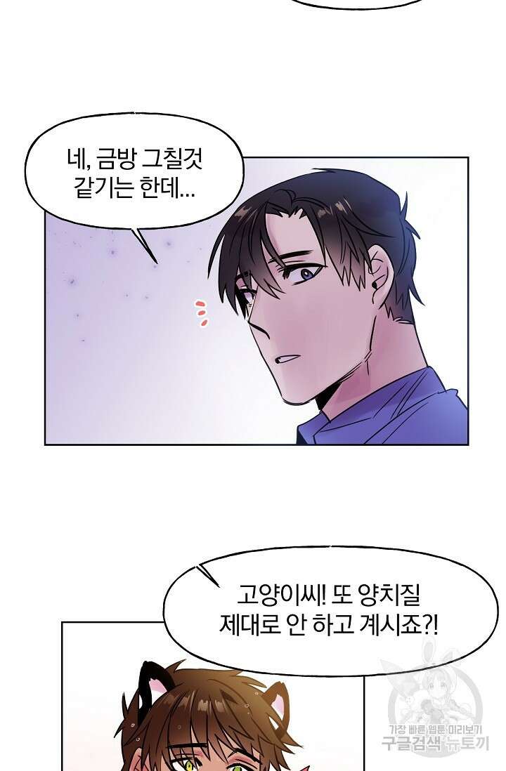 골판지 상자 안 고양이씨 시즌2 2화 5
