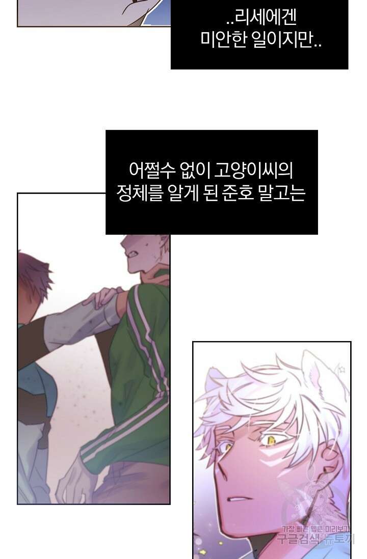 골판지 상자 안 고양이씨 시즌2 2화 25