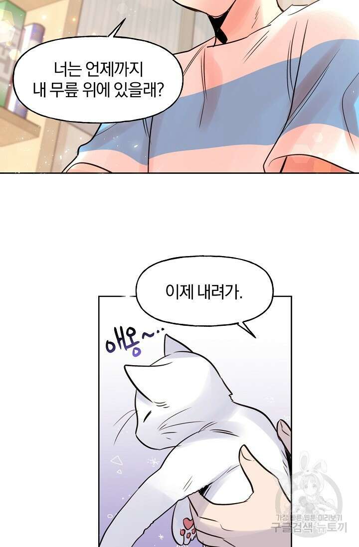 골판지 상자 안 고양이씨 시즌2 9화 10
