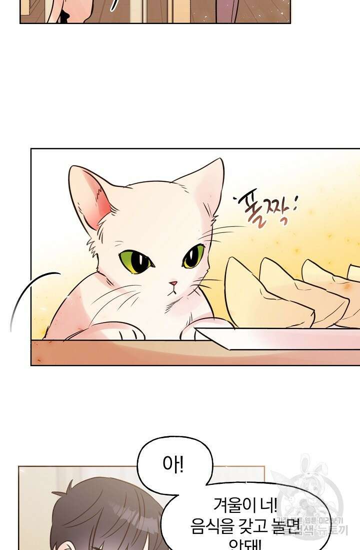 골판지 상자 안 고양이씨 시즌2 9화 12