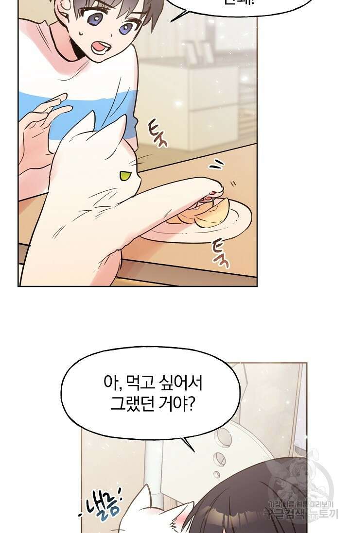 골판지 상자 안 고양이씨 시즌2 9화 13
