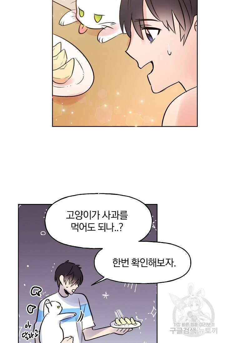 골판지 상자 안 고양이씨 시즌2 9화 14