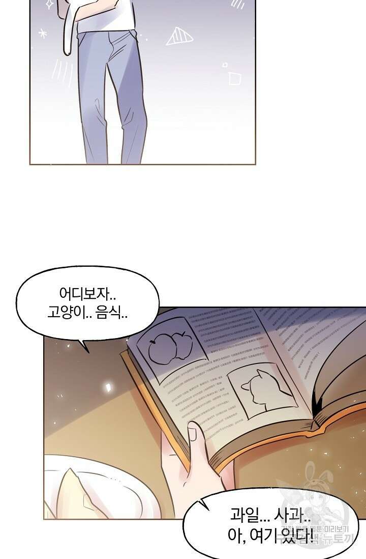 골판지 상자 안 고양이씨 시즌2 9화 15