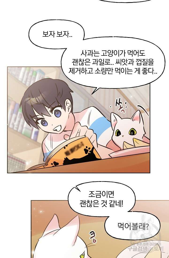 골판지 상자 안 고양이씨 시즌2 9화 16