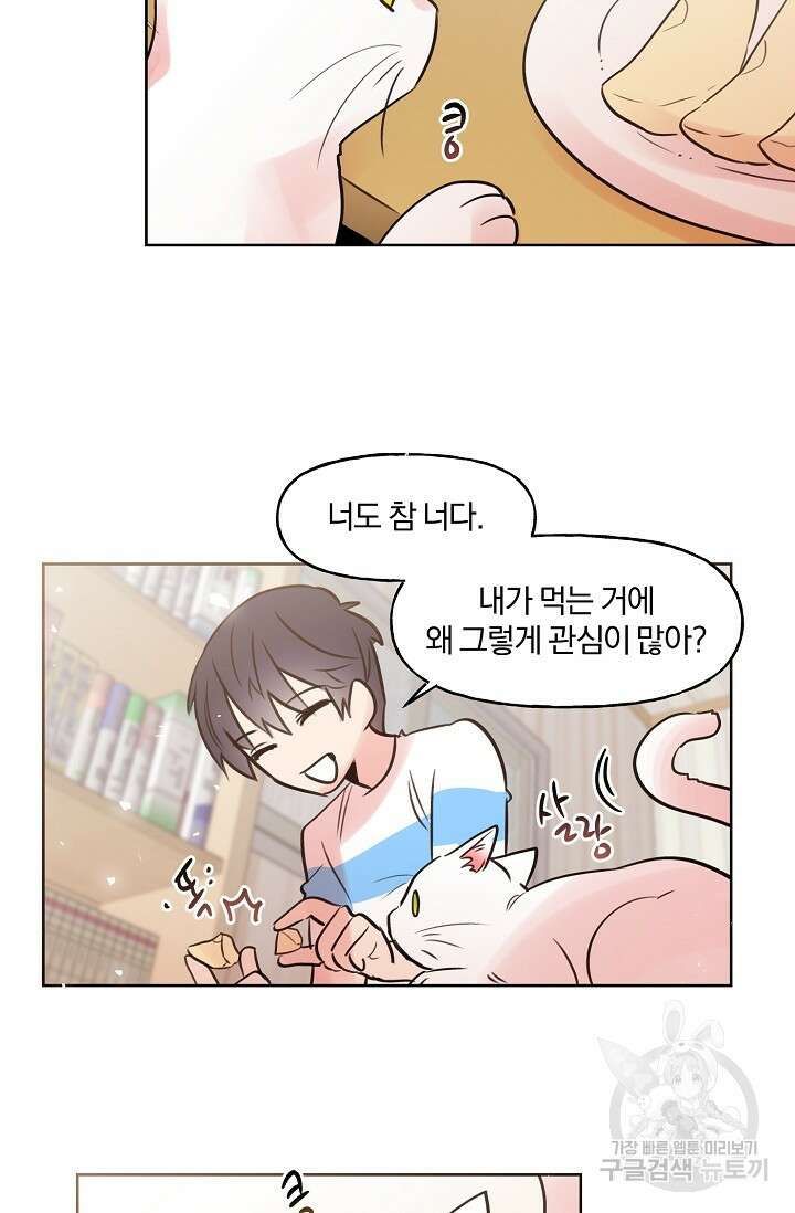 골판지 상자 안 고양이씨 시즌2 9화 17