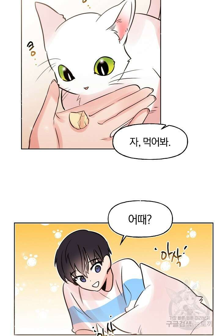 골판지 상자 안 고양이씨 시즌2 9화 18