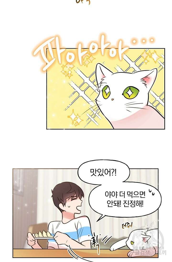 골판지 상자 안 고양이씨 시즌2 9화 19