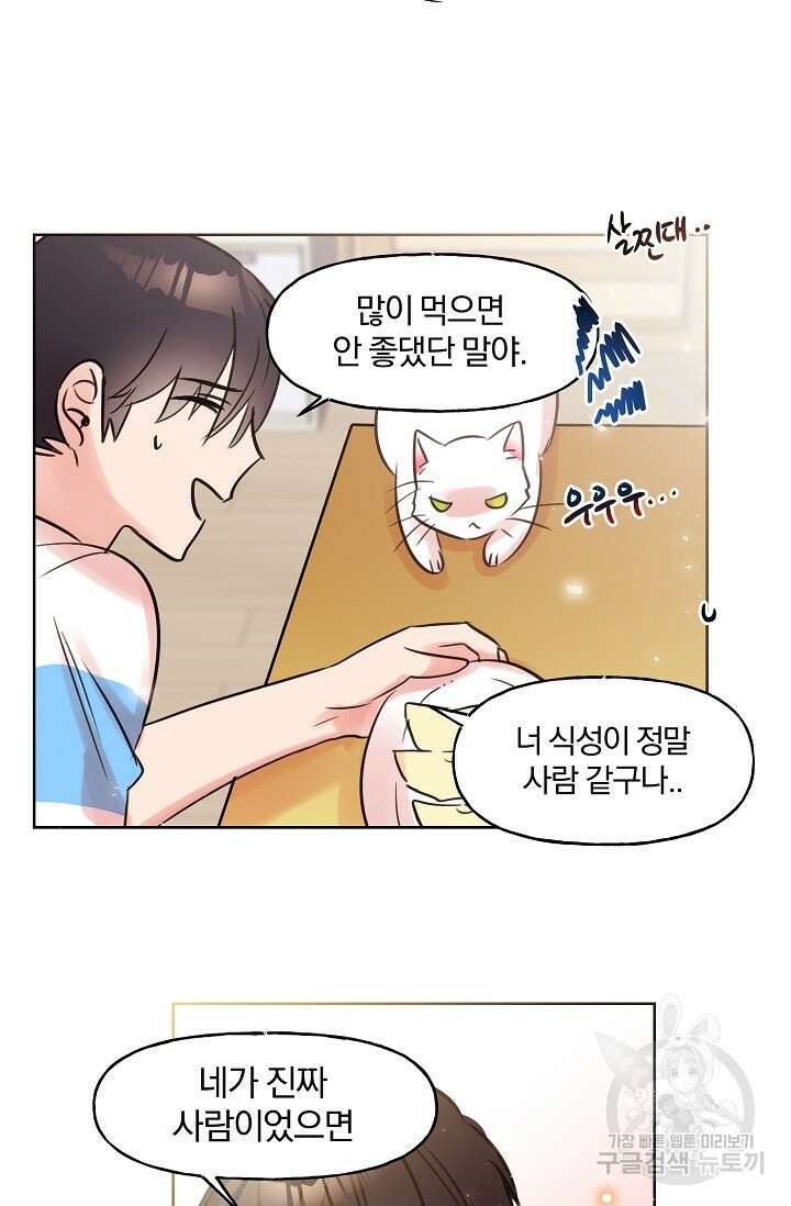 골판지 상자 안 고양이씨 시즌2 9화 20