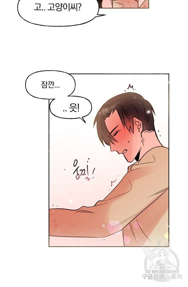 골판지 상자 안 고양이씨 시즌2 9화 33