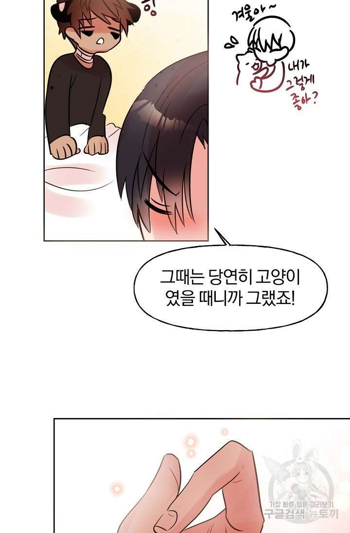 골판지 상자 안 고양이씨 시즌2 9화 37