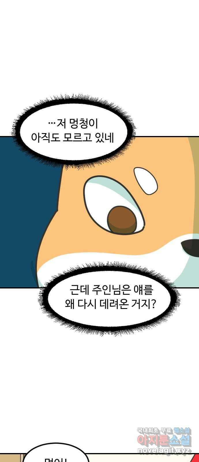 애구애구 46화 9