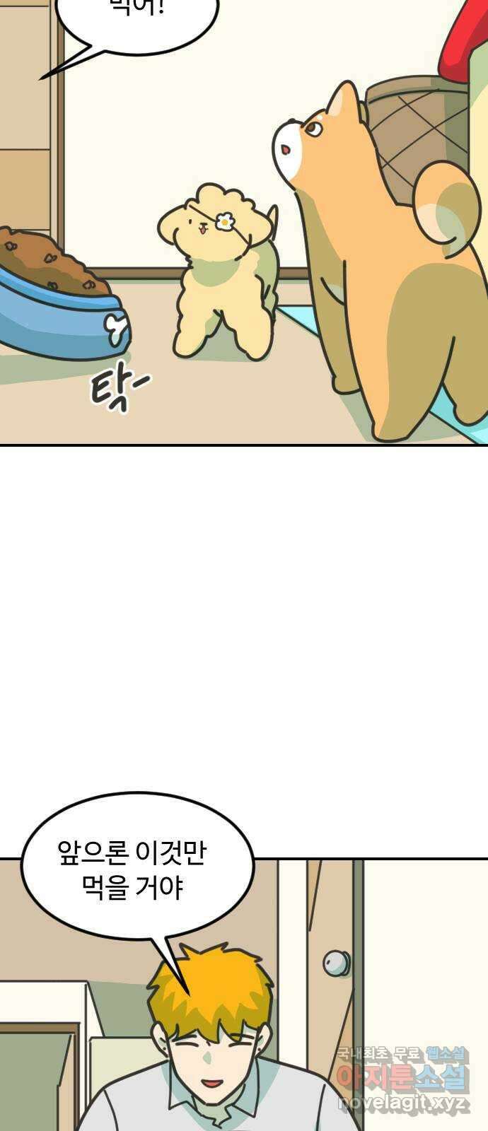 애구애구 46화 10