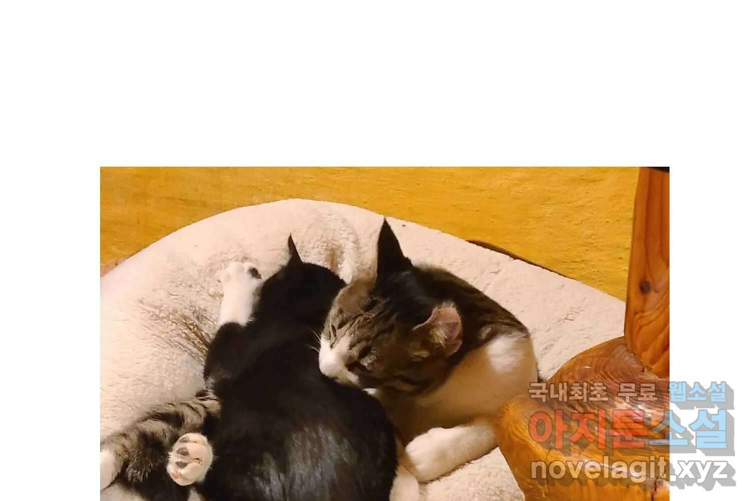 재활용 머학생 33화 상견례 만화 78