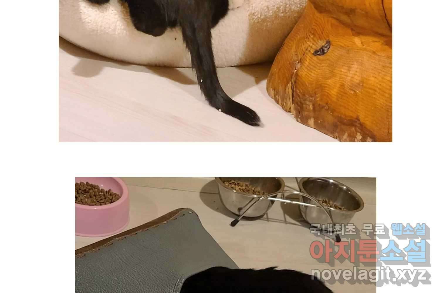 재활용 머학생 33화 상견례 만화 79