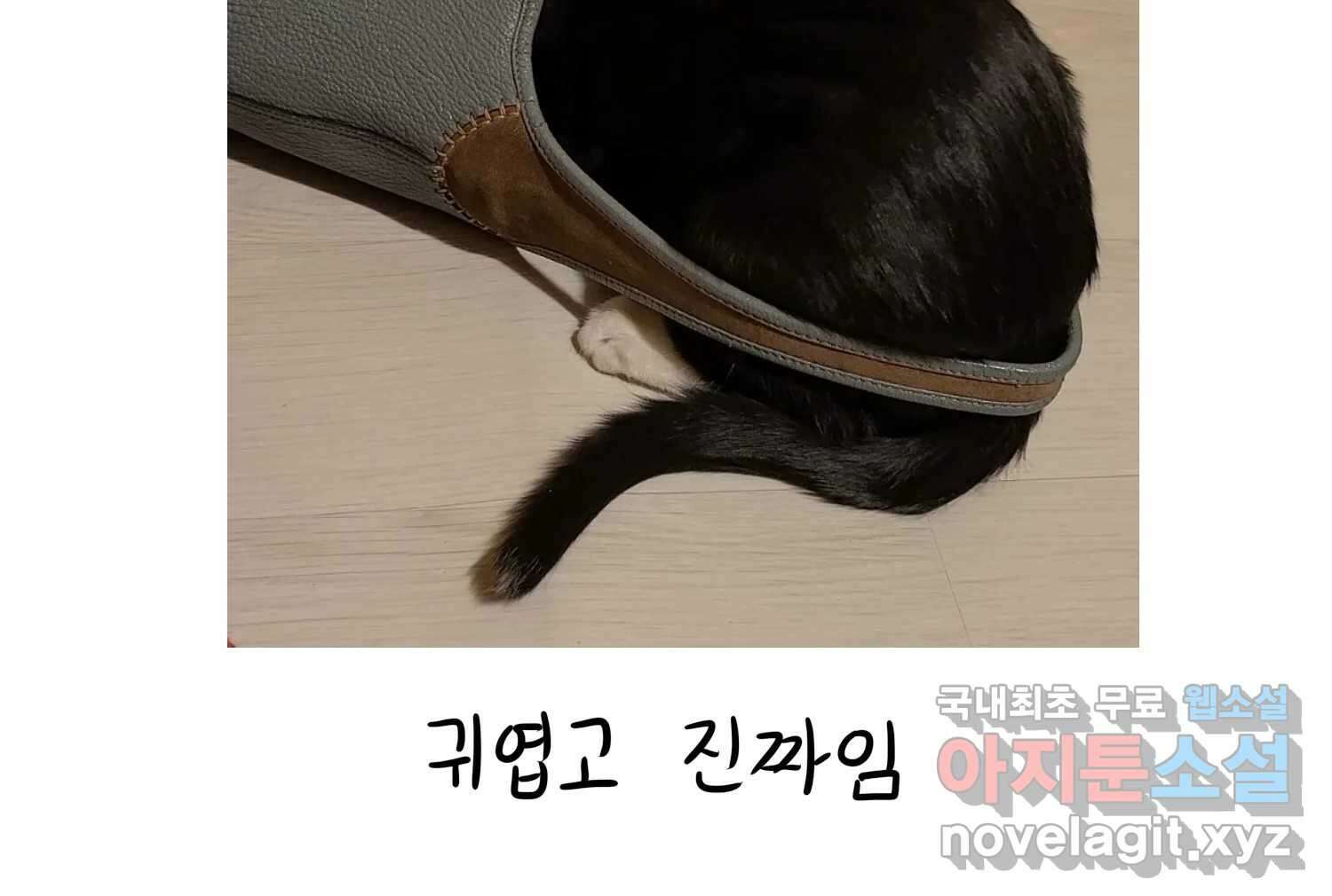재활용 머학생 33화 상견례 만화 80