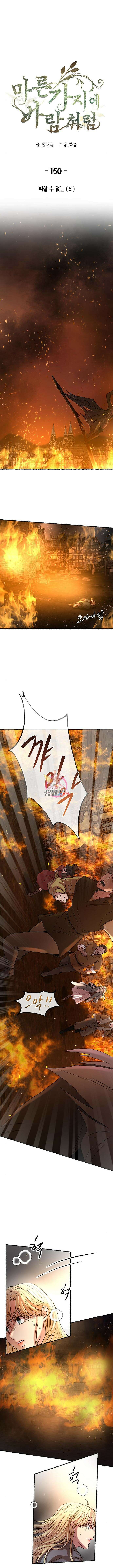 마른 가지에 바람처럼 150화 1