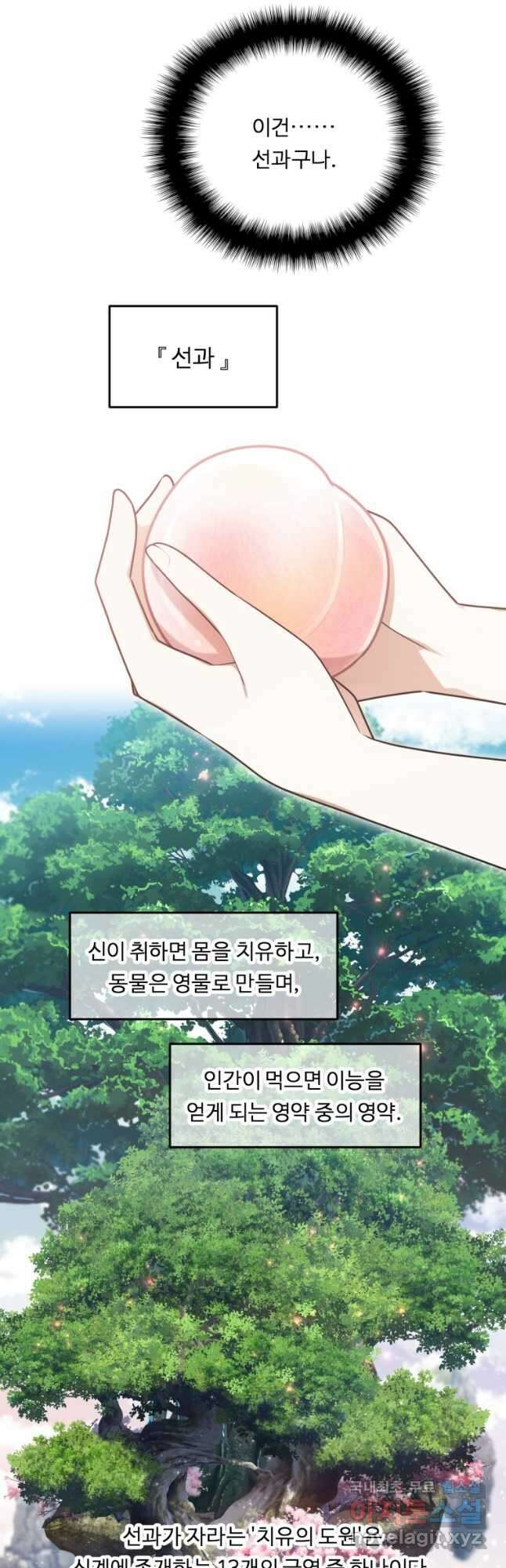 정령왕 엘퀴네스 265화 2