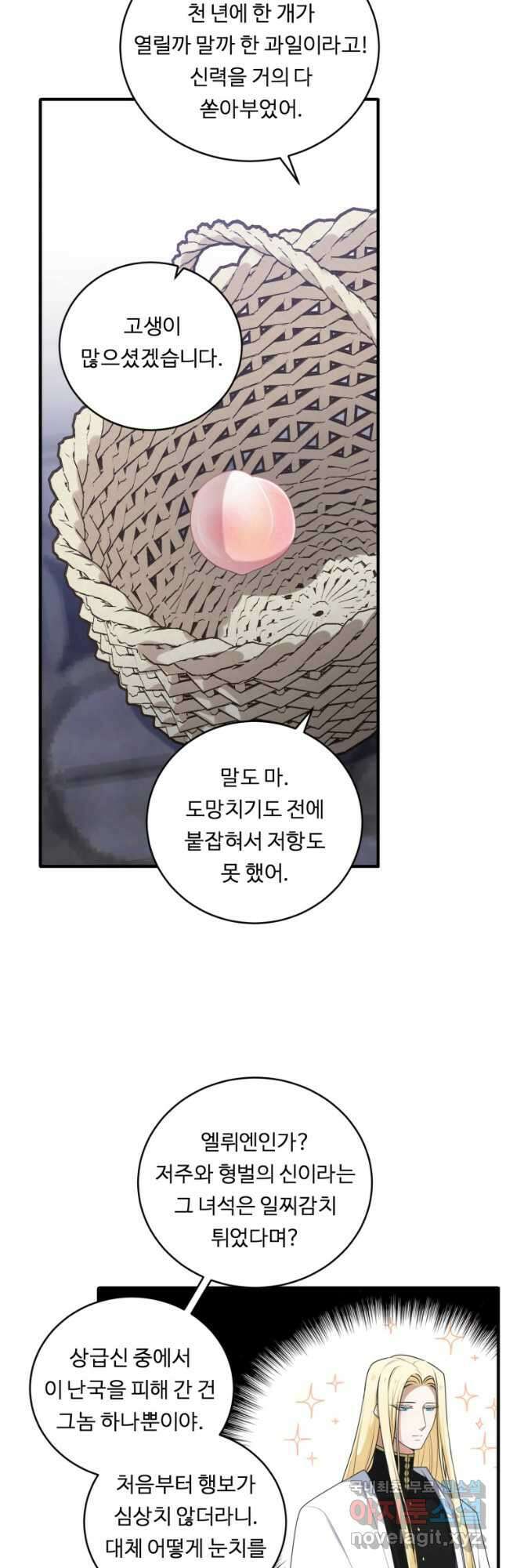 정령왕 엘퀴네스 265화 12