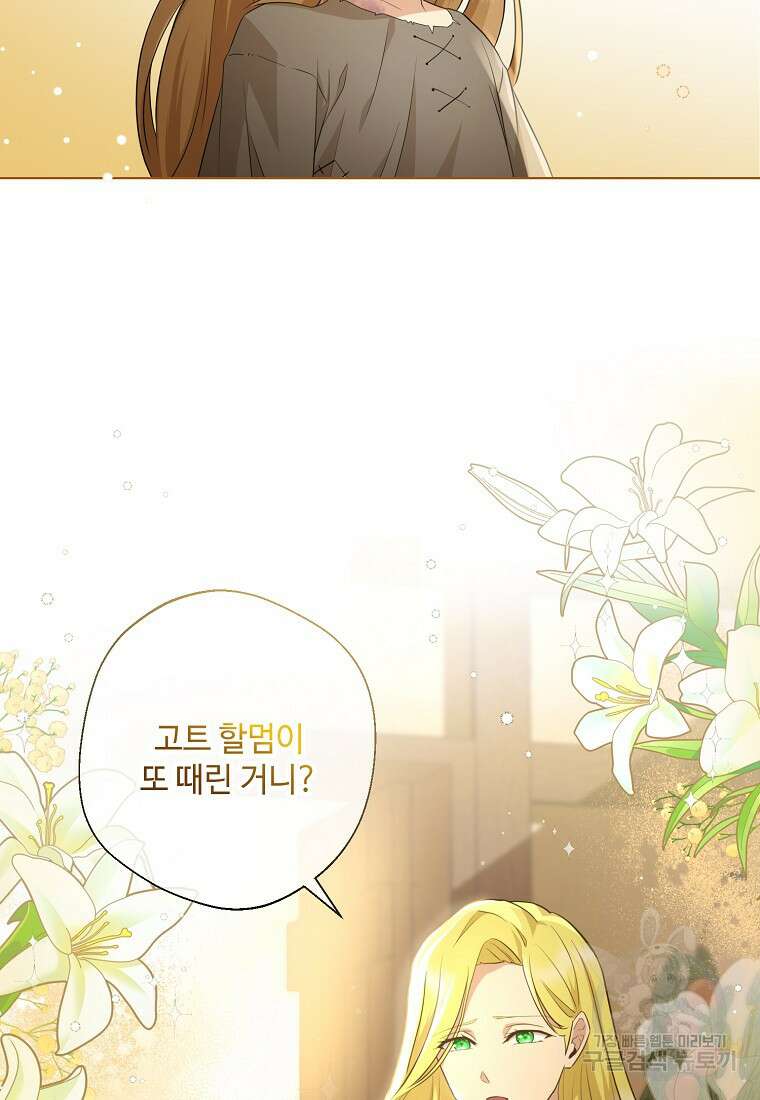 후원에 핀 제비꽃 1화 44
