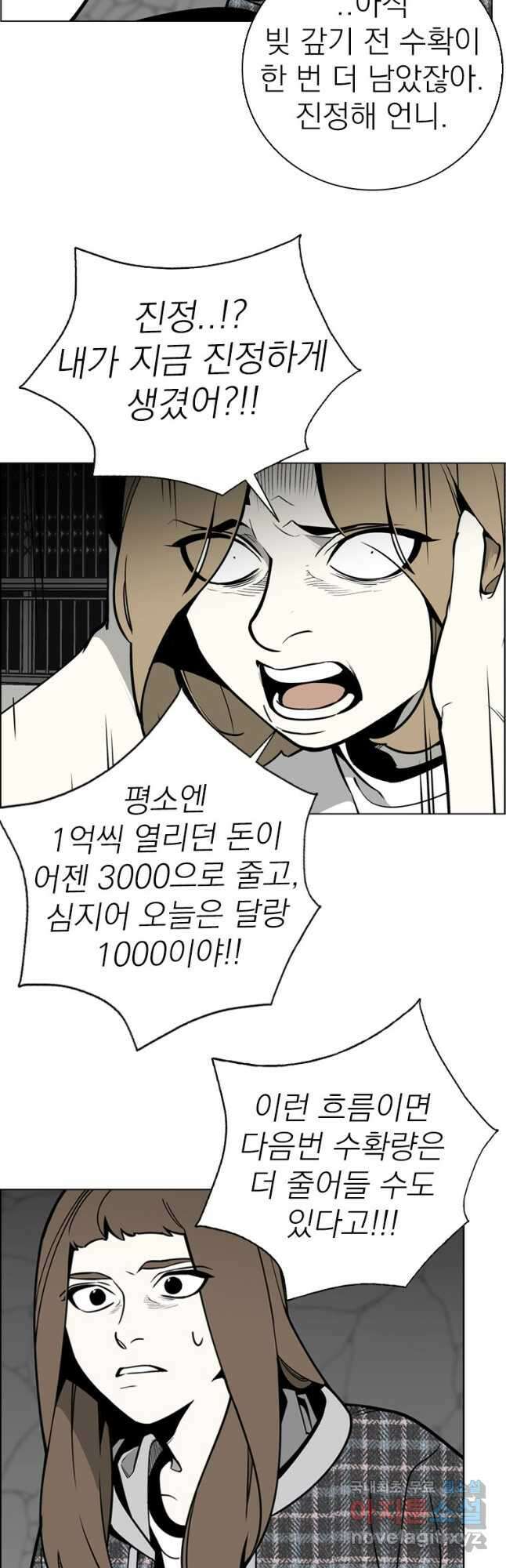 돈나무 38화 7
