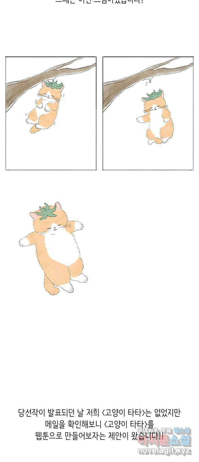 고양이 타타 후기 5